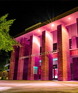 Chandler Police Department lit in purple in reflection of Domestic Violence Awareness Month