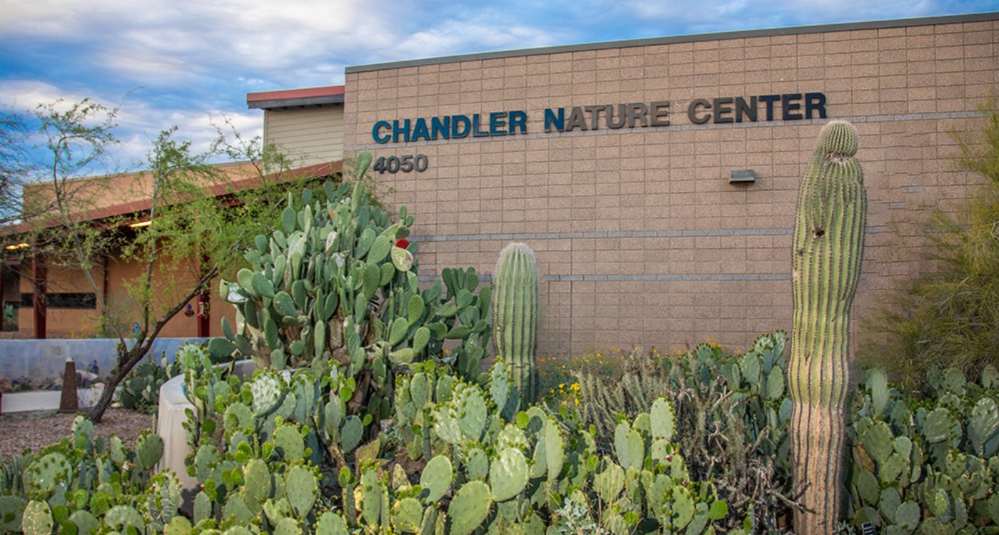 Chandler Nature Center
