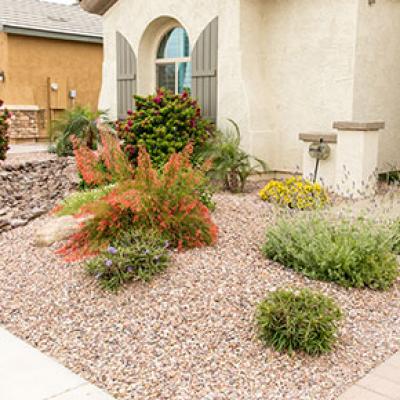 Yard with a Xeriscape Landscape