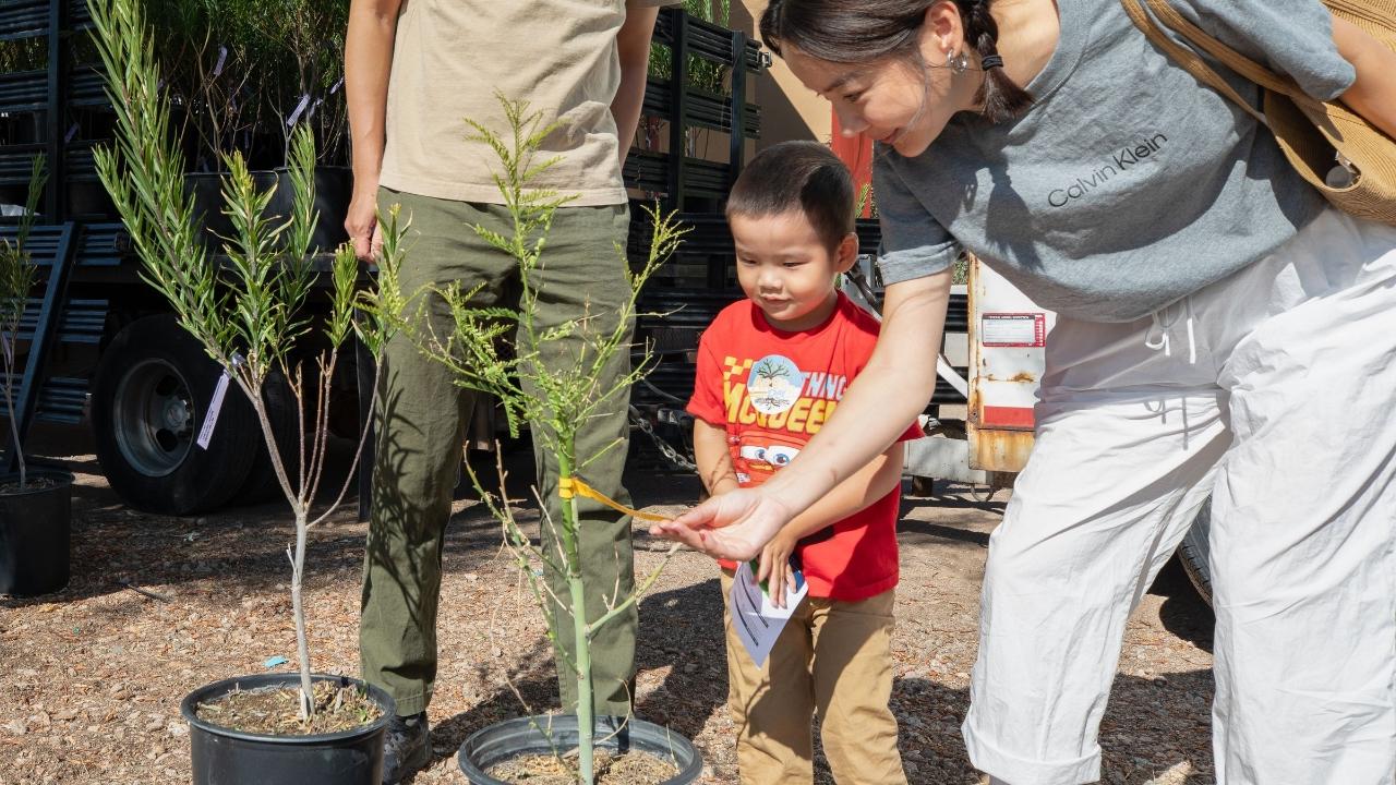 Arbor Day Promotes Benefits of Trees 