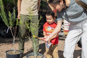 Arbor Day Promotes Benefits of Trees 