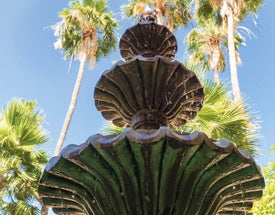 Fountain and Palm Trees