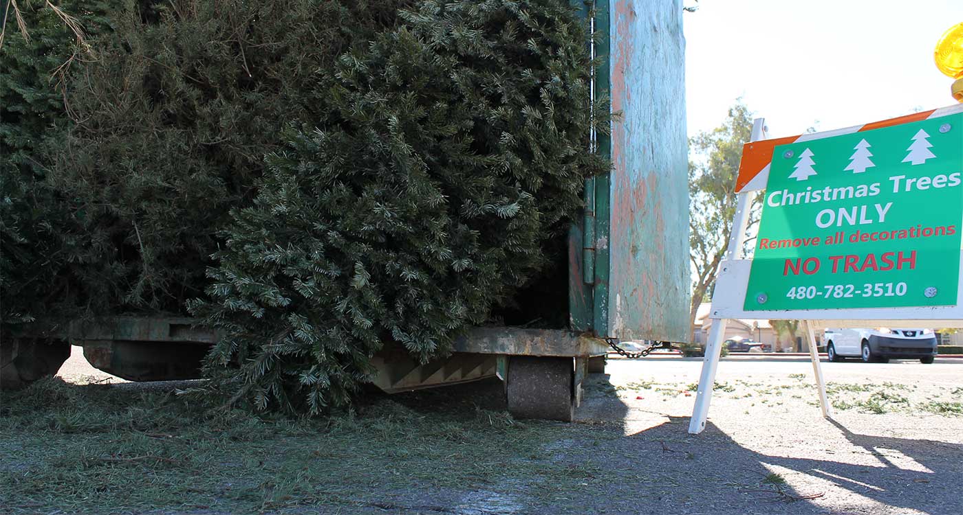Christmas Tree Recycling