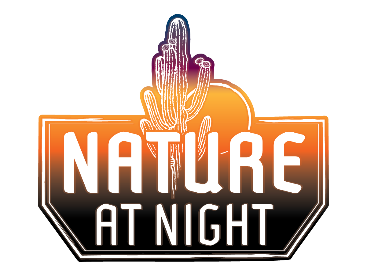 nature at night logo