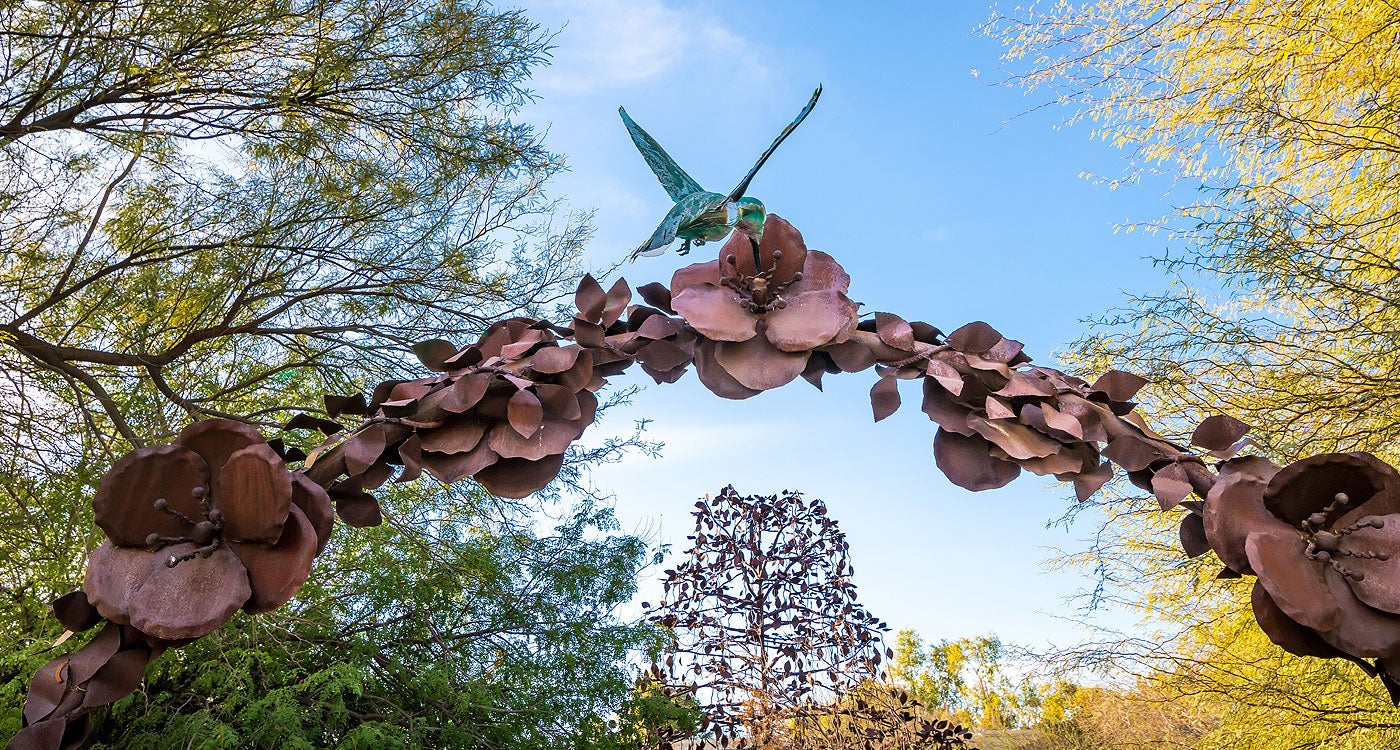 Hummingbird Habitat at Desert Breeze Park