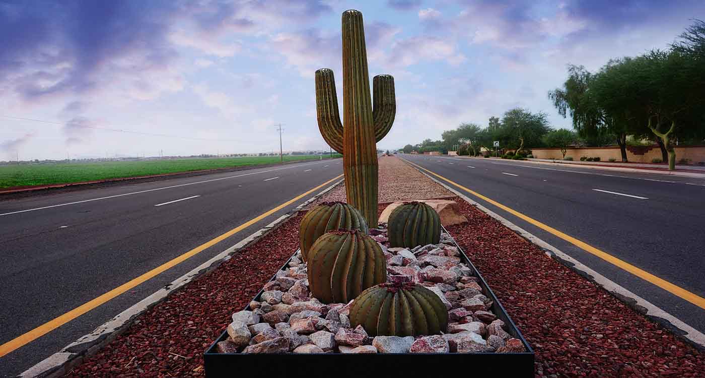 Street with Cactus in Median