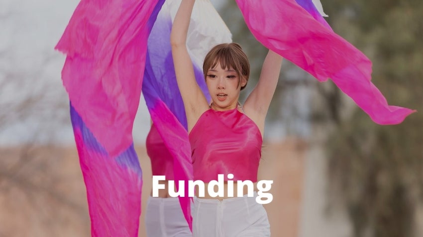 Diversity Funding