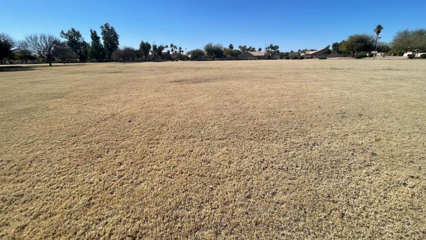 Overseeding Overseeding