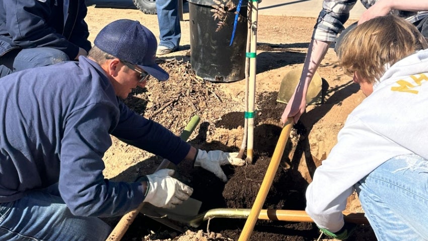 Planting a tree on Paseo Trail Planting a tree on Paseo Trail