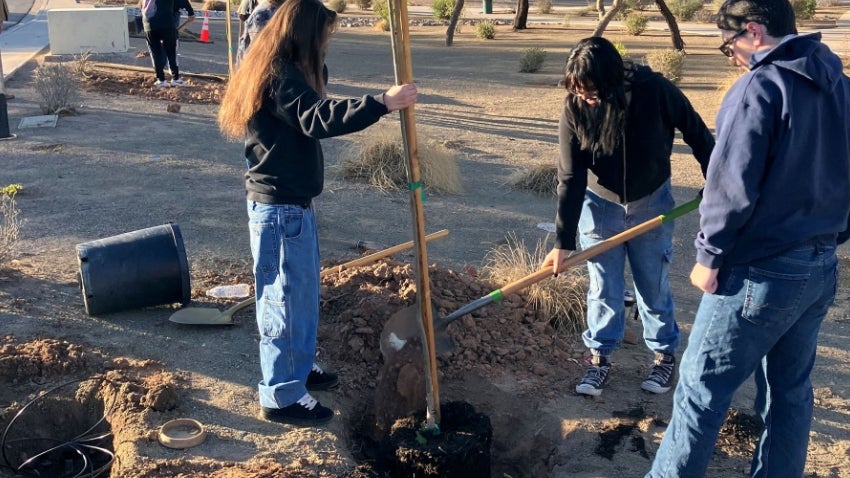 Students planting trees at Tibshraeny Park Students planting trees at Tibshraeny Park