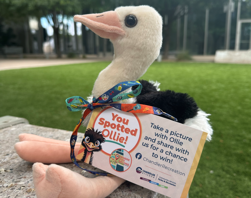 Ollie ostrich scavenger hunt