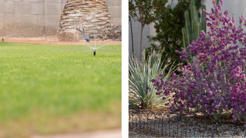 Grass to Xeriscape Grass to Xeriscape
