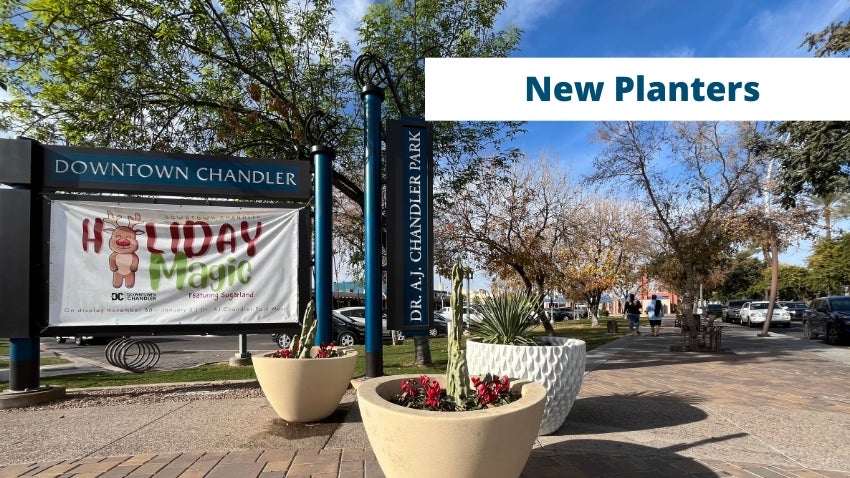 New Planters in Downtown Chandler New Planters in Downtown Chandler