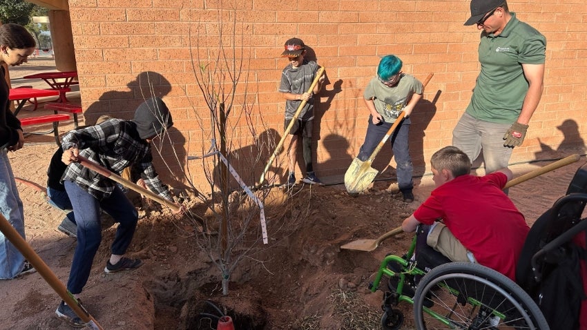 Group of elementary school students planting a tree Group of elementary school students planting a tree