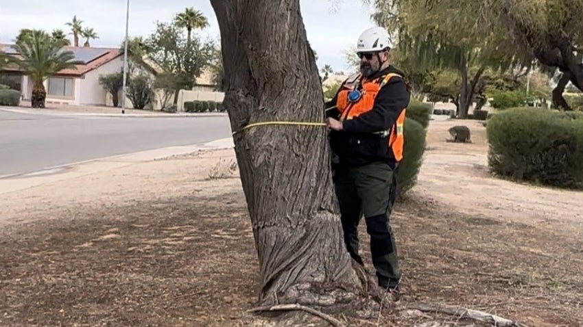 Tree Inventory Tree Inventory