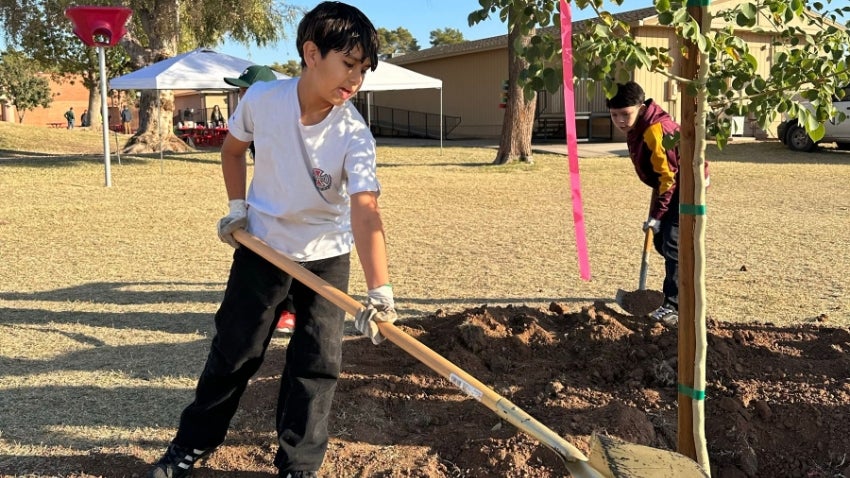 two young boys planting a tree two young boys planting a tree