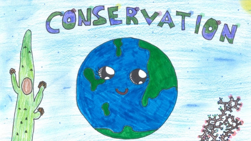 Environmental Art Contest
