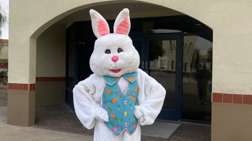 Easter Bunny Smiling