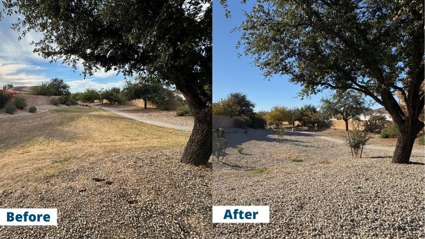Sun Groves Before and After Sun Groves Before and After