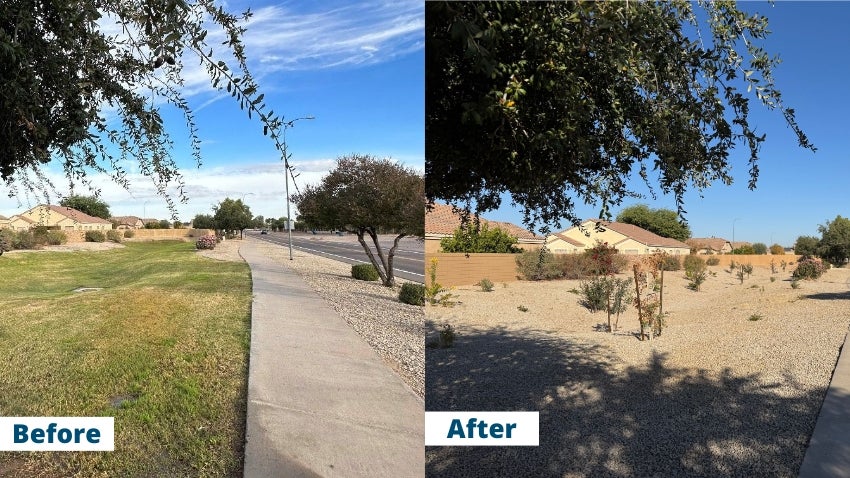Sun Groves Before and After Sun Groves Before and After