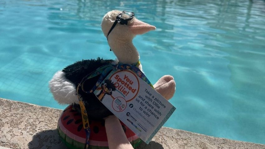 Ollie ostrich scavenger hunt