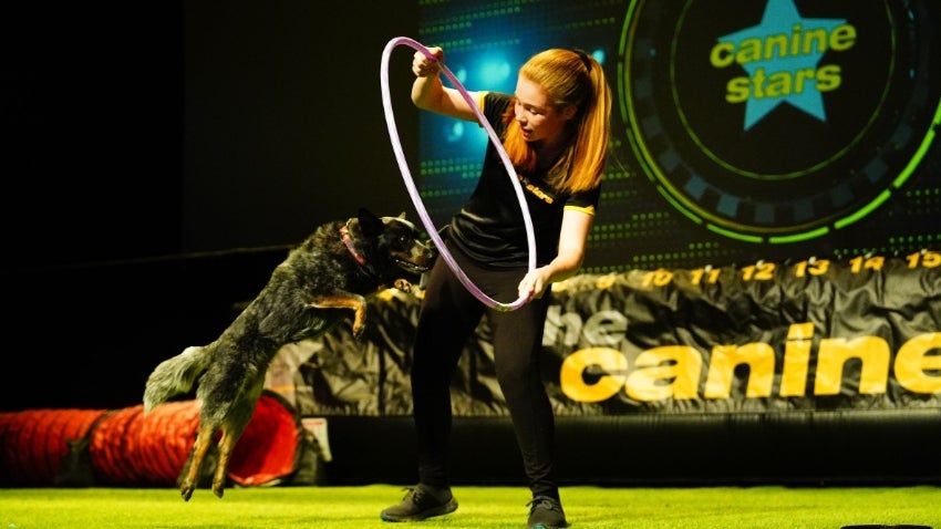 The Canine Stars Stunt Dog Show