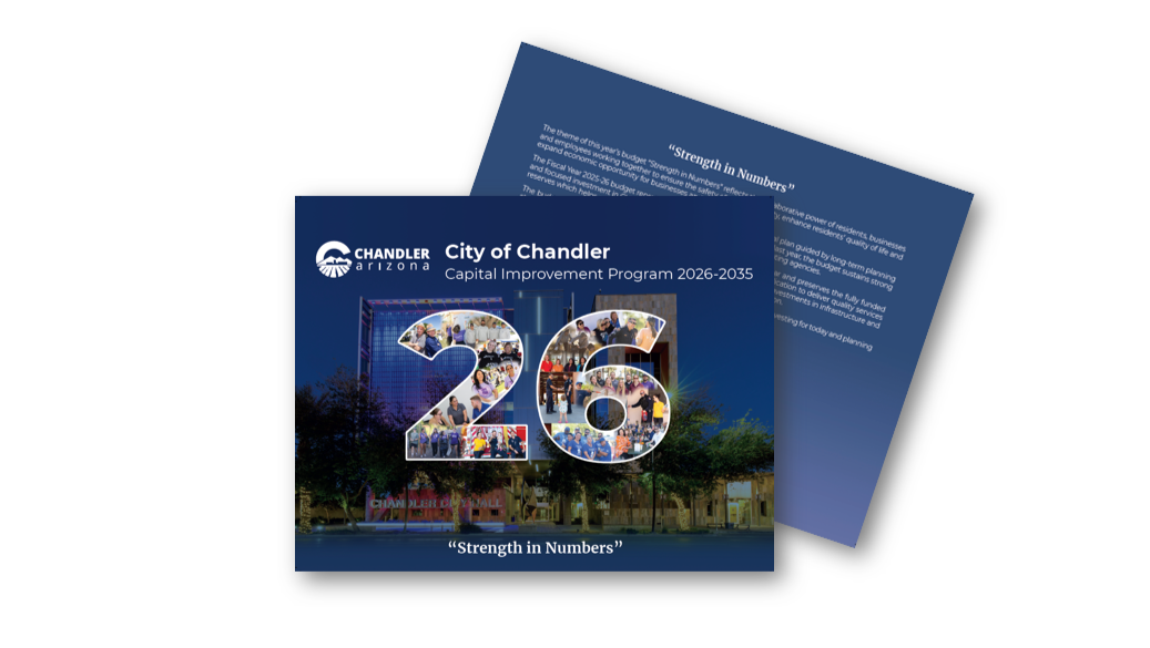 CIP Book Cover