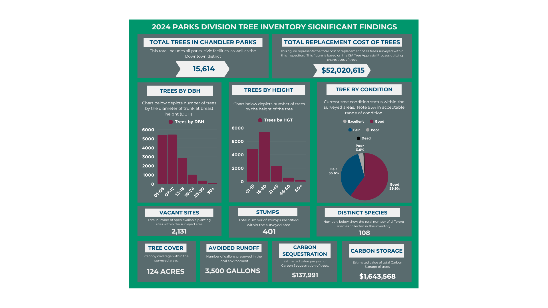 Chandler Tree Inventory Findings 2024