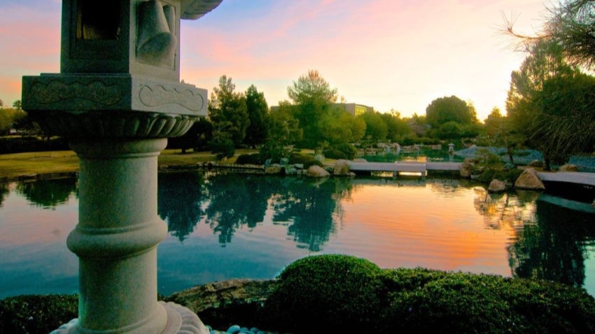 Japanese Friendship Garden