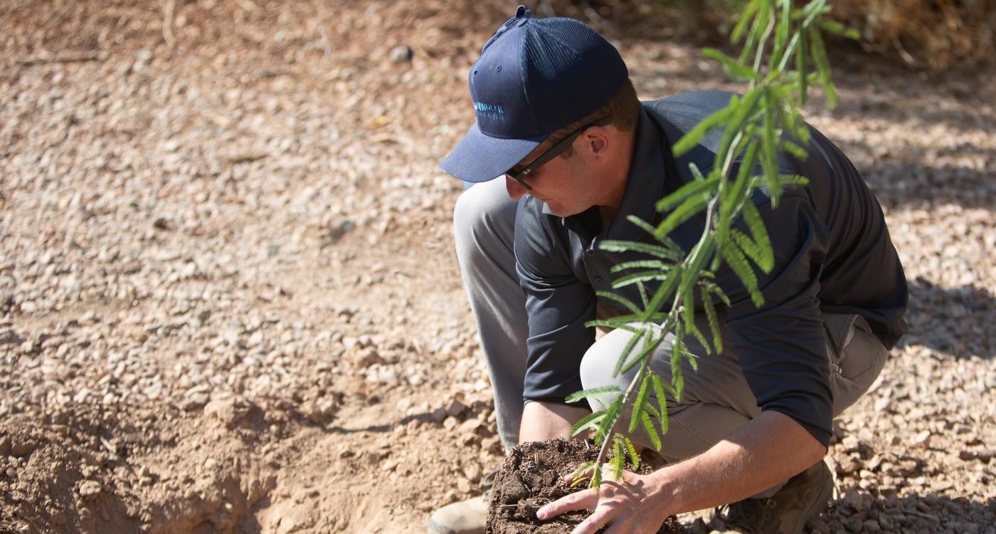 Planting a Tree for Arbor Day