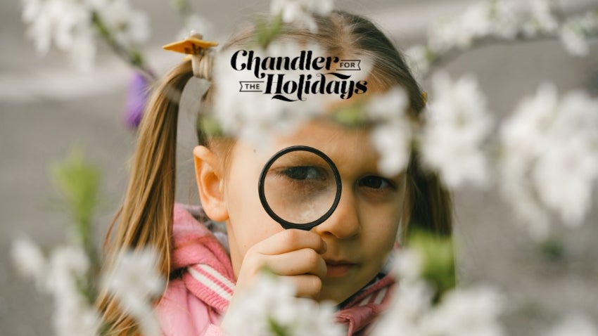 Holiday Scavenger Hunt