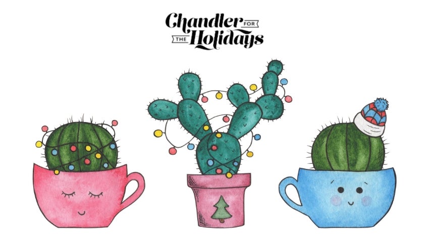 Watercolor Cactus Christmas Cards