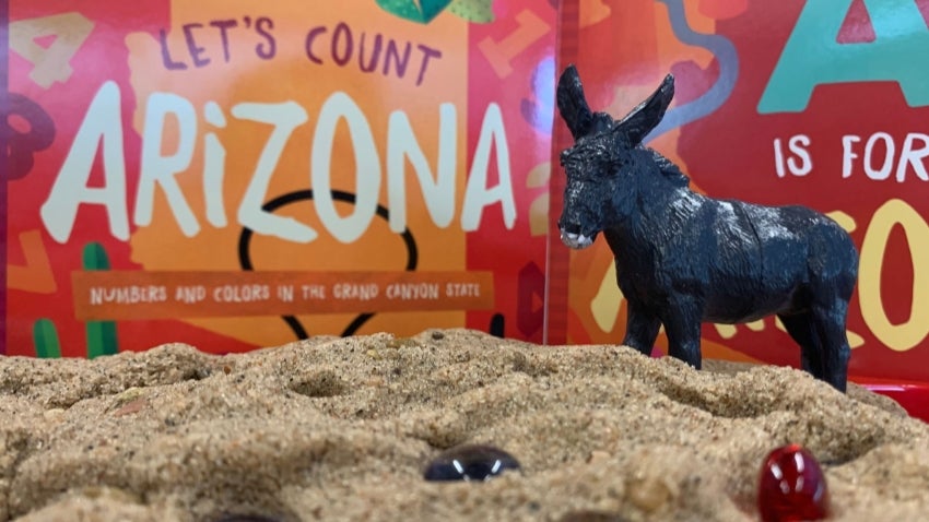 Book cover, toy donkey & sand