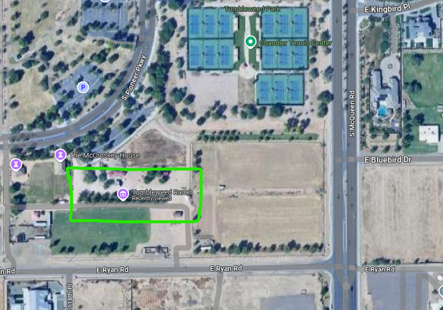 Citrus tree picking location at Tumbleweed Ranch