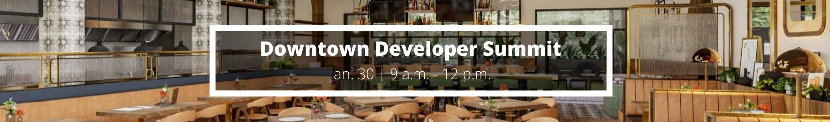 Downtown Developer Summit
