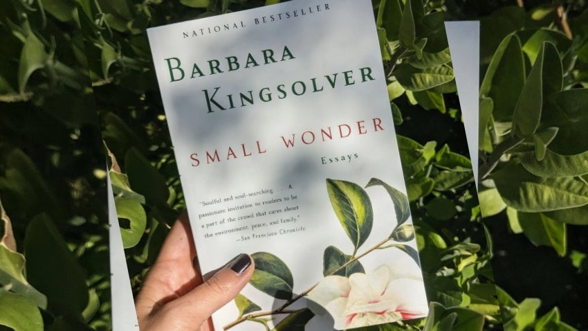 Chandler Museum Book Club - Small Wonder by Barbara Kingsolver