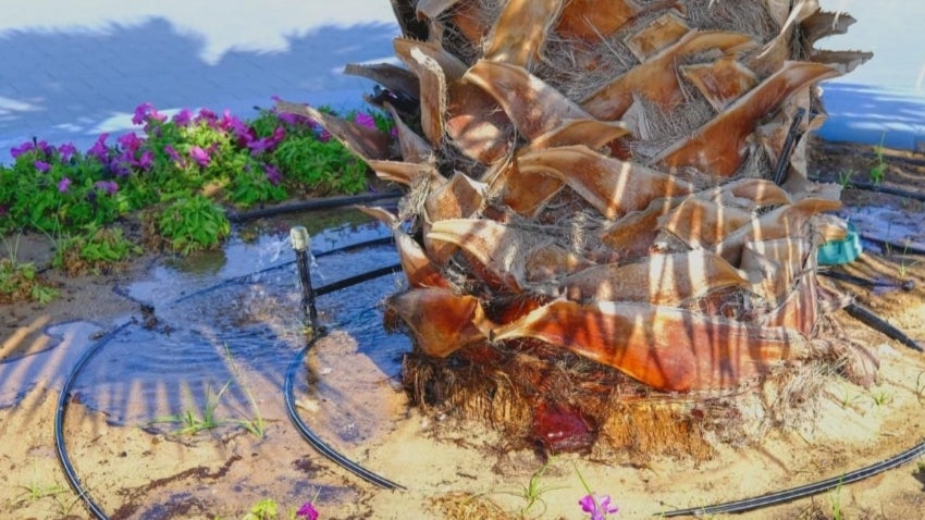 Understanding Your Irrigation System