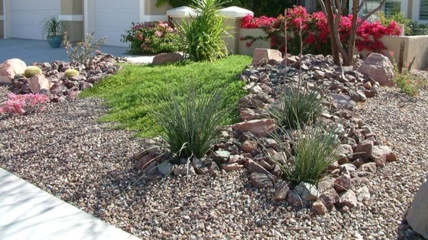 Xeriscape Design: Transform Your Landscape