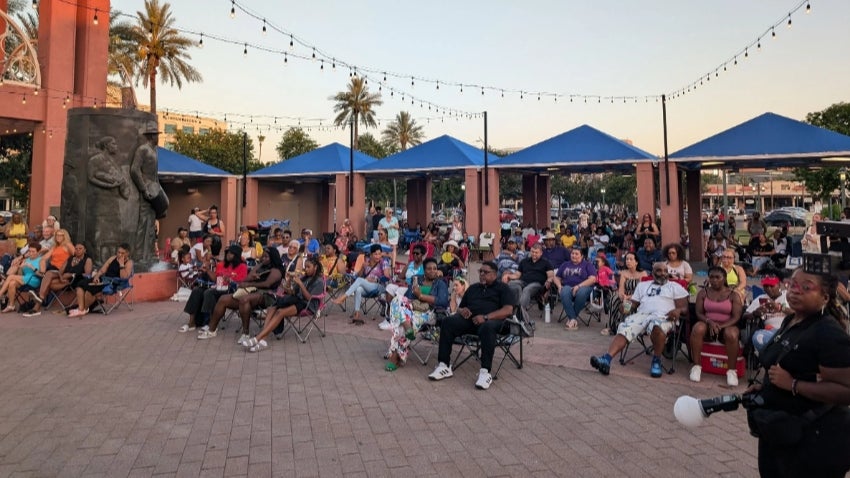 Crowd at Culture Music in the Park