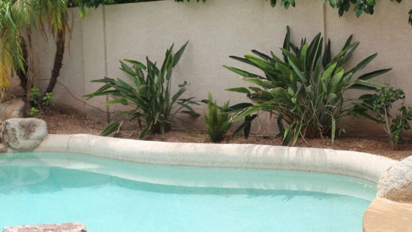 Pool care: pool with landscaping