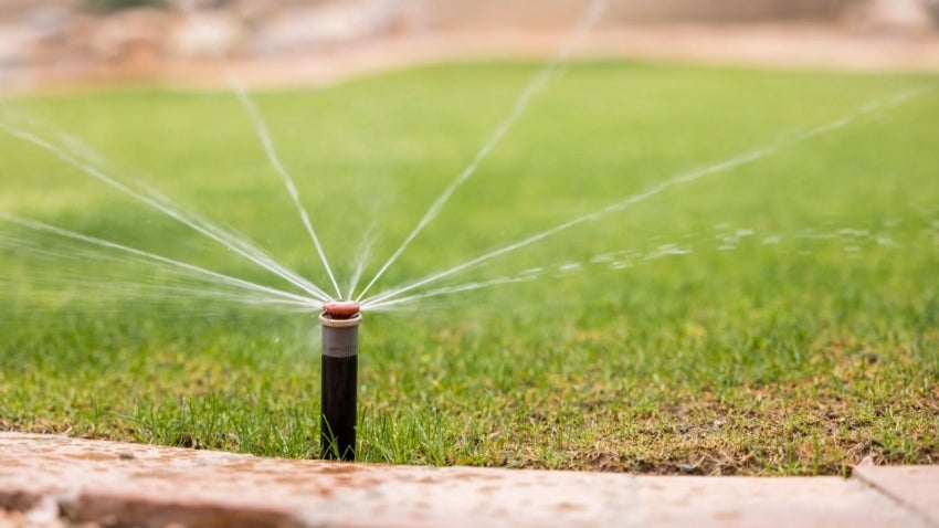Watering Schedule: Sprinkler watering grass