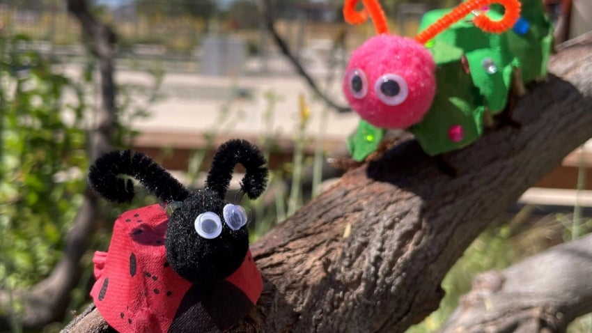 Art Tots - Quirky Critters