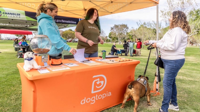 Dogtopia