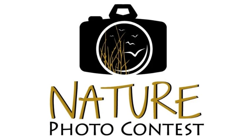Nature Photo Contest Identity