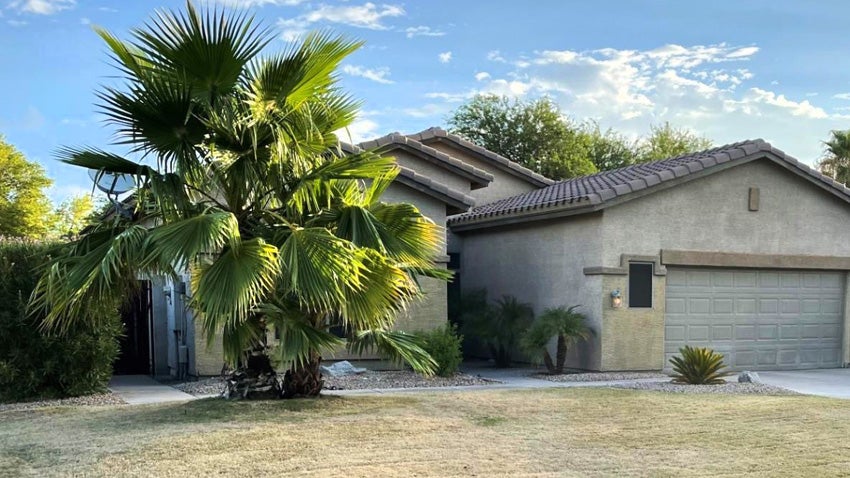 Home without a winter lawn