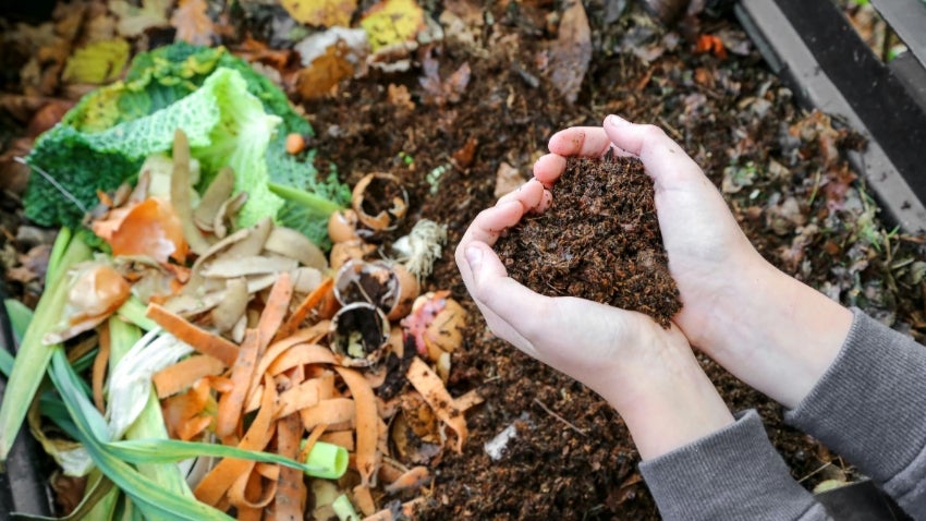 At home composting