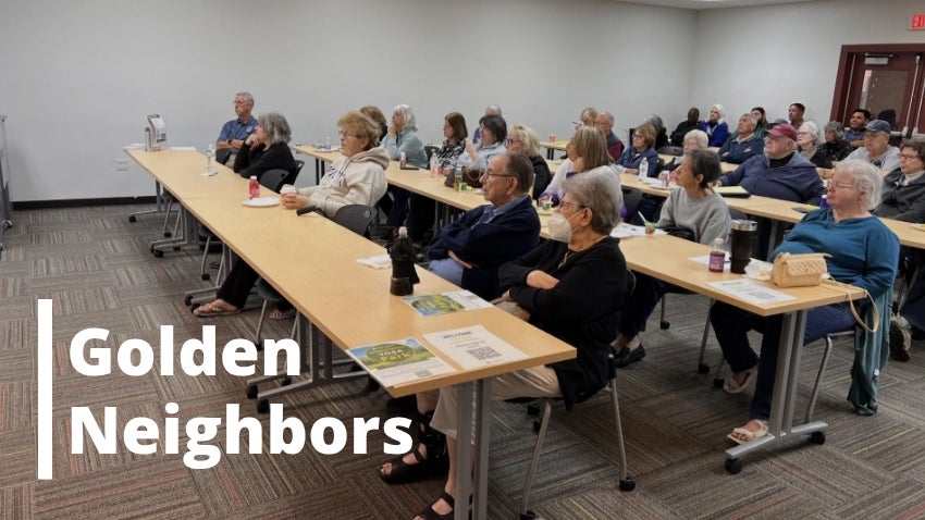 Golden Neighbors