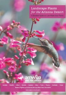 Landscape Plants for the Arizona Desert