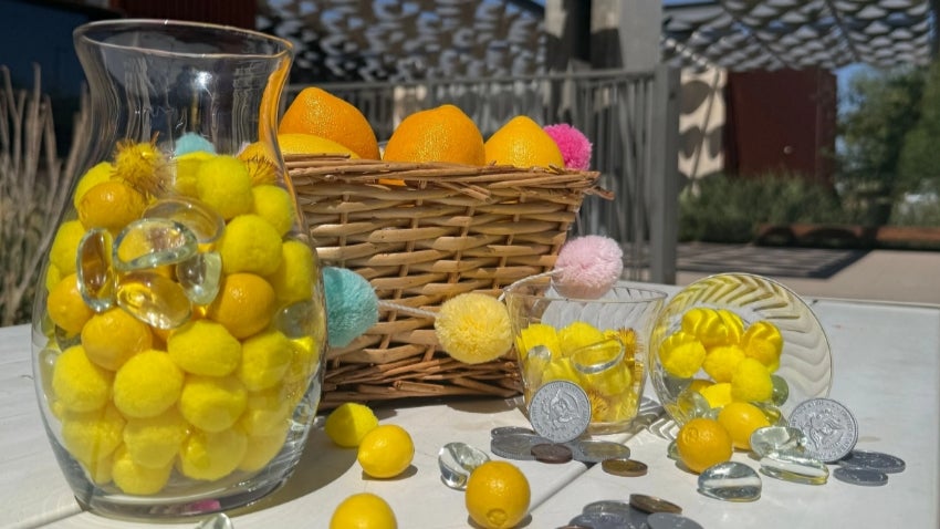Lemonade Stand Playset