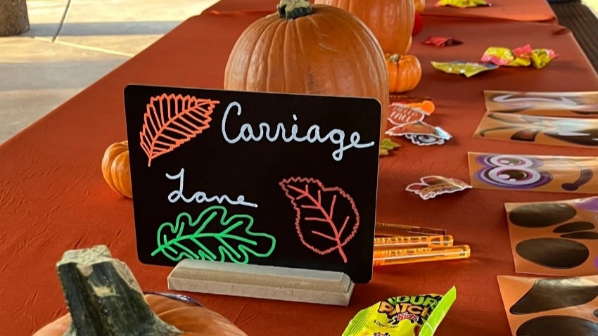 Carriage Lane